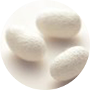 內網材質含有蠶絲蛋白(絲膠蛋白)